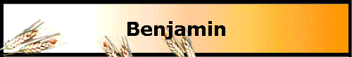  Benjamin 